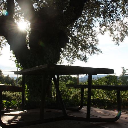 Jaramundi Villa Villa del Prado Dış mekan fotoğraf