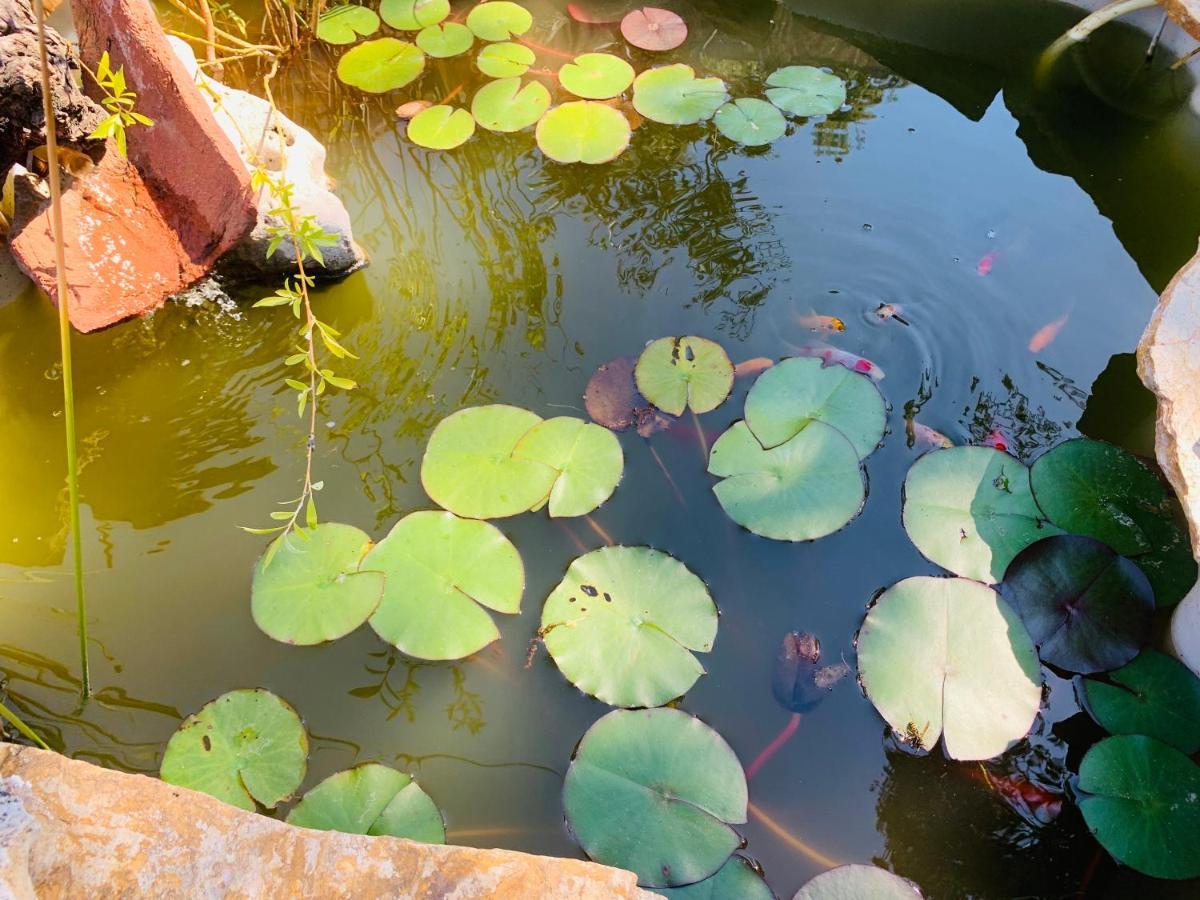 Jaramundi Villa Villa del Prado Dış mekan fotoğraf